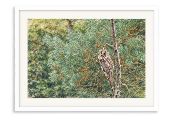 White Frame A4 -  21 x 29.7 cm (+£125.00)